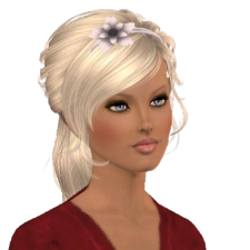http://www.thesims3.com/fetchAvatar/14456