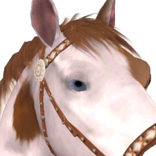 [Avatar]