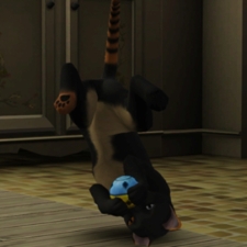 [Avatar]