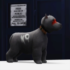[Avatar]