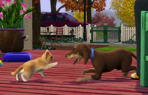 /content/en_US/promo/pets/screenshots/ts3_dog_cat_play.jpg