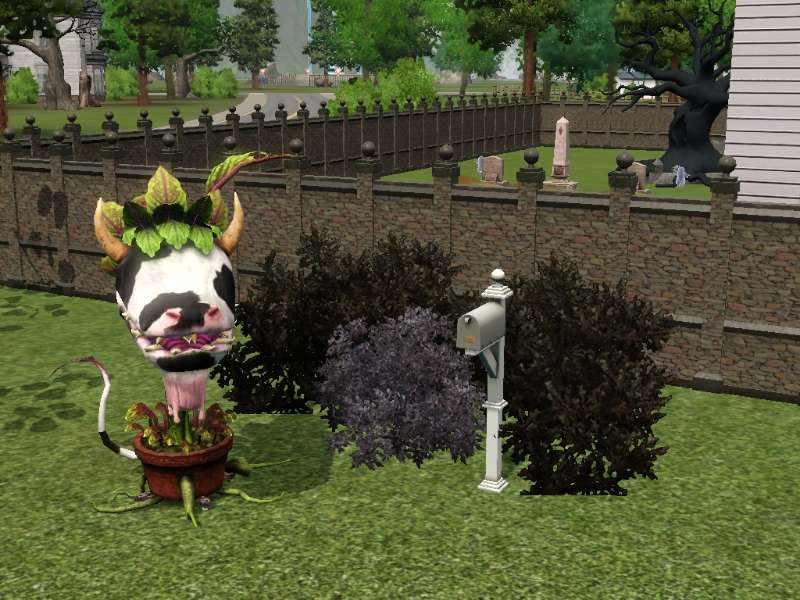 screenshot_original.jpg